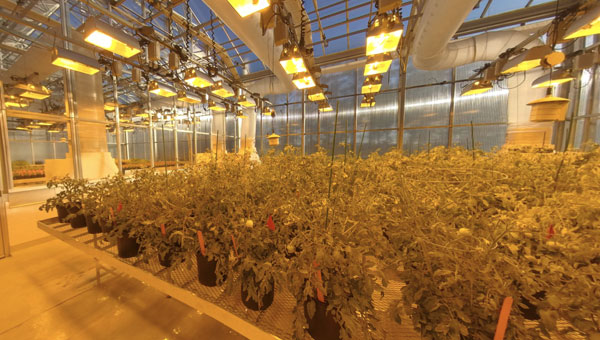 Real Estate 360 Virtual Tours Greenhouse VR Tour by VPiX